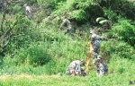 从化青云路中间护栏挂上花篮 积极营造“绿上添花”的廊道 - 广东大洋网