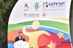 七位奥运冠军助阵！广东省第二届青少年体育嘉年华隆重举行 - Southcn.Com