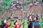 广州市旅游局称今年实施三个专项整治活动 - News.Ycwb.Com