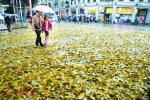 广州昨发出今年首个雷雨大风蓝色预警 未来几日有雨 - 新浪广东