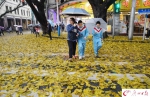 一场春雨之后，广州遍地“黄金” - 广东电视网