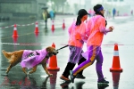 我的视界，有你一起奔跑 154名视障选手雨中“跑马” - 广东大洋网