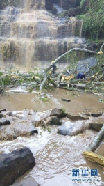 加纳瀑布景区大树倒塌事故 致18人死21人受伤 - News.21cn.Com