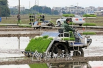 林干松的农机服务队在用机械插秧机插秧。 - Meizhou.Cn