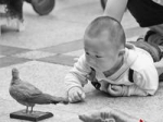 多个珍稀鸟类标本亮相惠州 呼吁市民共建鸟语花香城 - 新浪广东