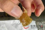 广州市场现“注胶冷冻虾” 商家疑用明胶粘合虾头虾身 - News.Timedg.Com