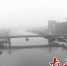 广佛环城际铁路东平水道特大桥主桥完成首次混凝土浇筑施工 - 广东大洋网