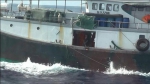 台湾扣押一艘越界捕捞香港渔船 船上20名广东船员 - 新浪广东