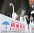 北海道2300把爱心雨伞丢九成 台媒:大陆游客拿的 - 广东电视网