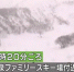 日本栃木县一滑雪场发生雪崩 6名高中生心肺停止 - 广东电视网