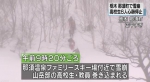 日本栃木县一滑雪场发生雪崩 6名高中生心肺停止 - 广东电视网