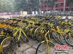 资料图。北京某所高校内的共享单车数量惊人。中新网 吴涛 摄 - News.21cn.Com