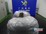 层层伪装！广州海关揭开来自非洲包裹的“神秘面纱” - 广东大洋网