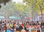 正清日羊城122万人次祭祖 无烟祭拜成时尚 - 广东电视网