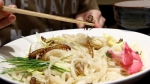 日本推出昆虫拉面 食客排长队品尝暗黑料理(图) - 广东电视网