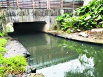 3条黑臭河涌年底完成整治 广州全面实施新一轮治水工作 - 广东大洋网