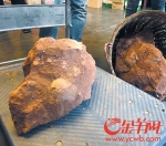 佛山大沥挖出5枚恐龙蛋 可追溯到7000万年至6500万年前 - 广东电视网