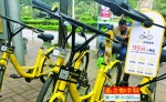 市城管局：共享单车进入惠州 上半年没戏 - Southcn.Com
