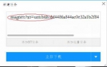 迅雷9更新实用功能 可自动补全磁力链地址 - Southcn.Com