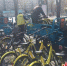某家共享单车企业运维人员正将故障车放进三轮车内，集中收回。中新网 吴涛 摄 - News.21cn.Com