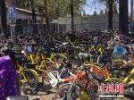 资料图：北京颐和园附近的一处停车点堆满共享单车。中新网 吴涛 摄 - News.21cn.Com