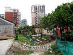 大埔县龙山二街在两座老屋前停止了修建，人们只能步行通过老屋中间的菜地和茅房。（罗诚浩　摄） - Meizhou.Cn