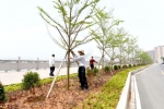 揭东推进新一轮绿化 高标准开展植树造林 - Southcn.Com