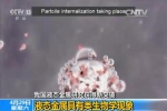 中国科学家发现液态金属类生物学现象 - Southcn.Com