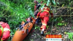 女子被困张家界300米悬崖 吃虫子喝露水硬撑半个月 - 广东电视网