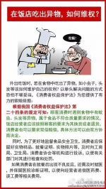 吃油爆虾吃出硕大一只蟑螂 店长:如果是我就算了 - 广东电视网