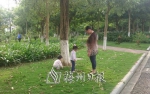公园草坪遭人踩踏。（图片均为严海苑摄） - Meizhou.Cn