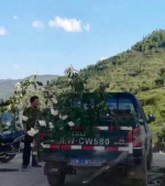 最美杜鹃花海遭毒手 游客折花枝烤肉 - 广东电视网