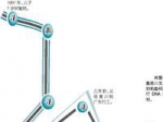 男子7岁时被拐 26年后通过DNA找到亲生父母 - 新浪广东