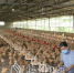 新岭村贫困户在养鸡场内检查饲养鸡群的设施。（胡金辉　摄） - Meizhou.Cn