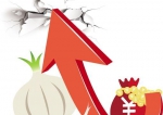 广州蒜头零售价格猛涨创7年来最高 预计6月价格或下调 - 广东大洋网