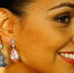 3.95亿！全球最贵彩色梨形钻石耳坠被拍出 - News.Ycwb.Com