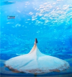 棕榈岛亚特兰蒂斯度假酒店 为情侣打造精采浪漫的水下体验 - Southcn.Com