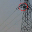 10岁男童爬30米高高压线塔掏鸟窝 触电被困 - News.Ycwb.Com
