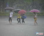 暴雨来袭 亲们，请注意交通安全别急！ - 广东电视网