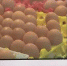 鸡蛋收购价每斤1.9元创二十年最低，养殖户贱卖母鸡 - 广东电视网