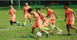 南沙成立青少年足球体校，前国足明星任名誉校长 - 广东大洋网