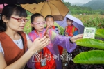 小记者和领队老师根据植物图卡在阿鲤廊农业生态园寻找对应的植物。（连志城　摄） - Meizhou.Cn