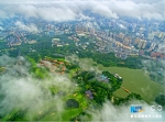 世界环境日 航拍花城广州“添绿增色” - 广东电视网