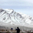 倒在8600米的登珠峰者：上百冲顶者路过却无动于衷 - 广东电视网