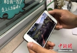 资料图：用户在用手机看视频。中新网 程春雨 摄 - 广东电视网