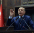 土耳其总统批评多国联合制裁卡塔尔（组图） - News.Ycwb.Com