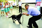 明星缉毒犬助阵禁毒 海关宣传进小学 - 广东大洋网