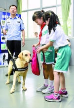 明星缉毒犬助阵禁毒 海关宣传进小学 - 广东大洋网