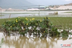 暴雨袭击下的潮州 - Southcn.Com