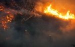 葡萄牙森林大火被完全控制：已致64死250多人伤 - 广东电视网